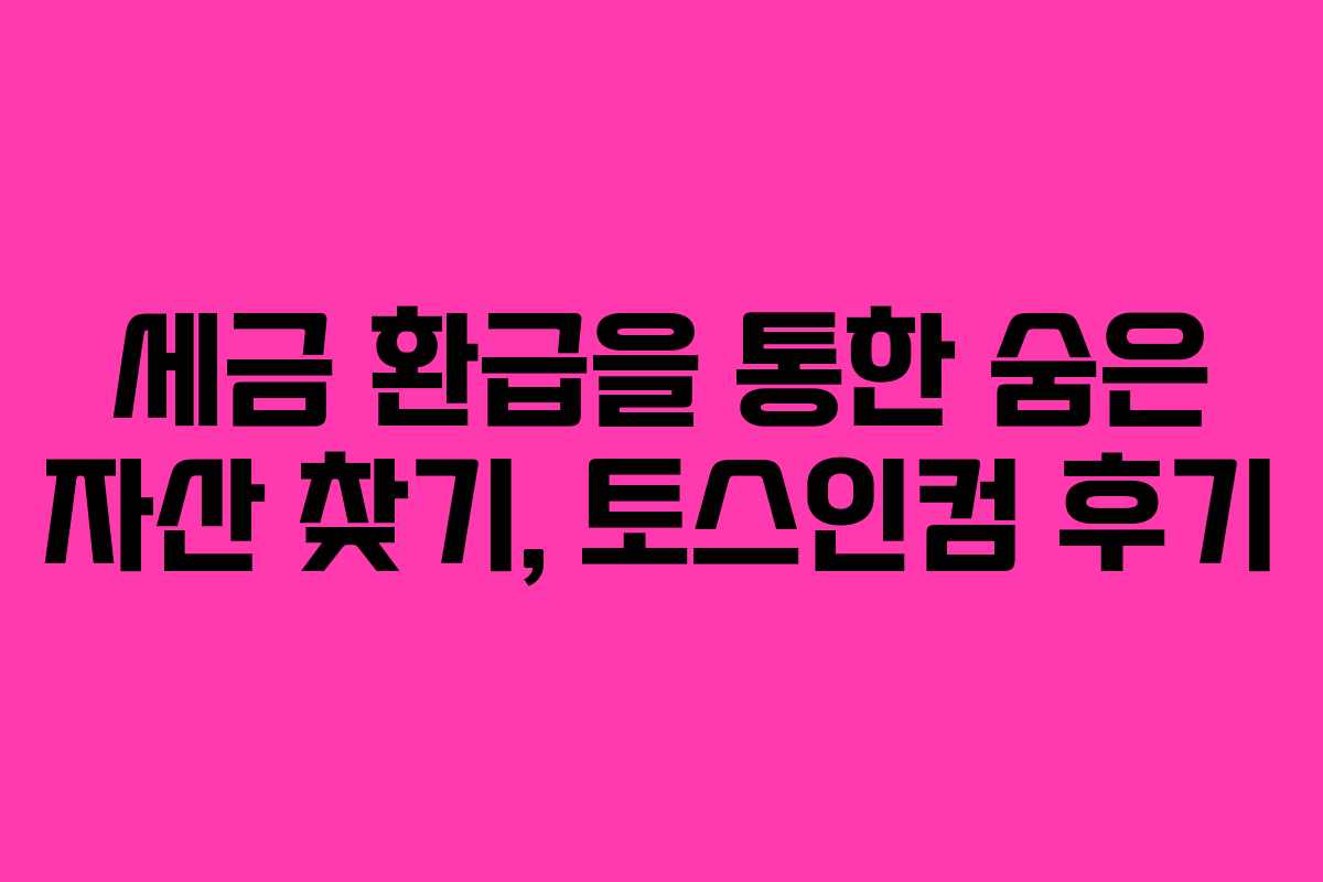 세금 환급을 통한 숨은 자산 찾기, 토스인컴 후기