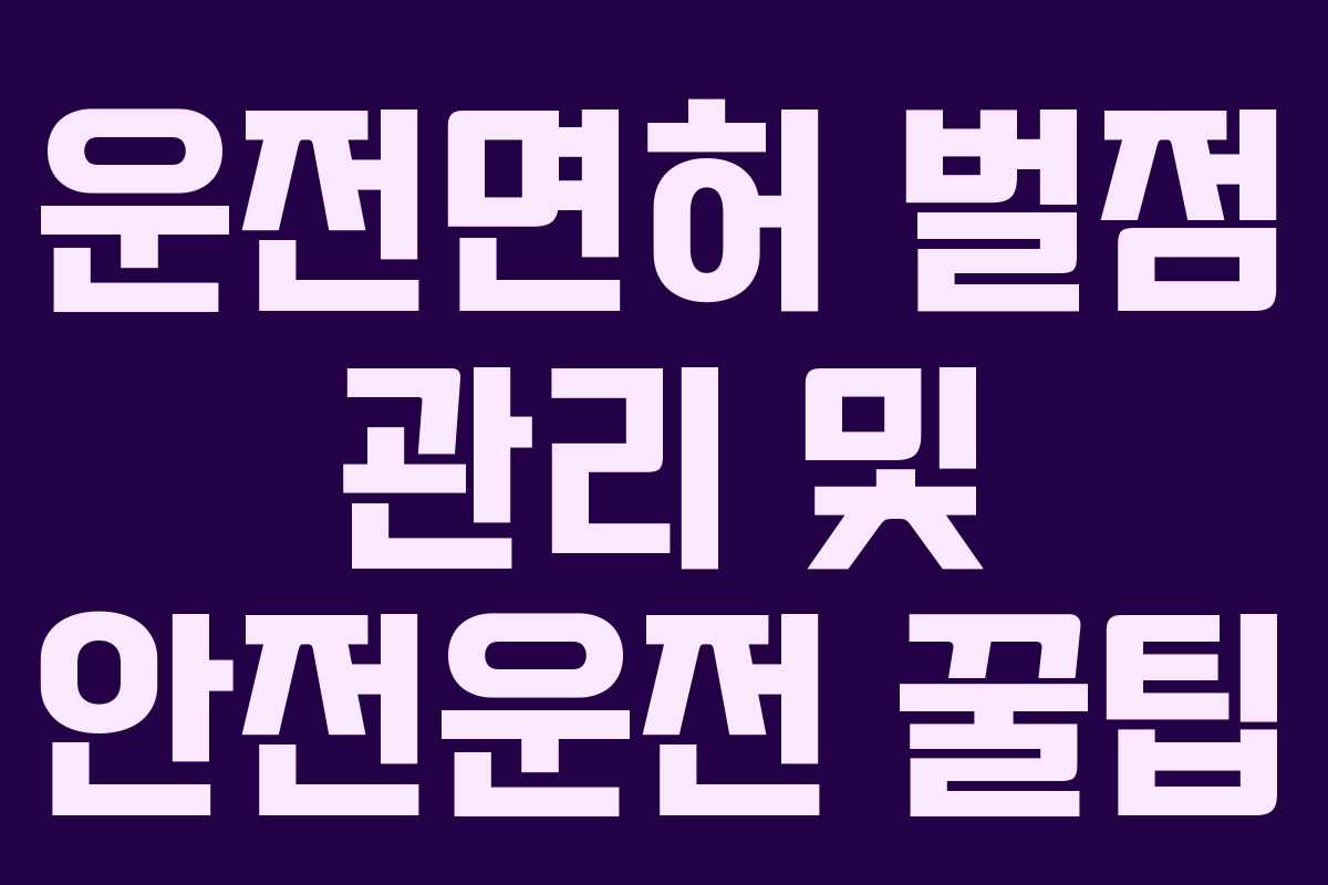 운전면허 벌점 관리 및 안전운전 꿀팁