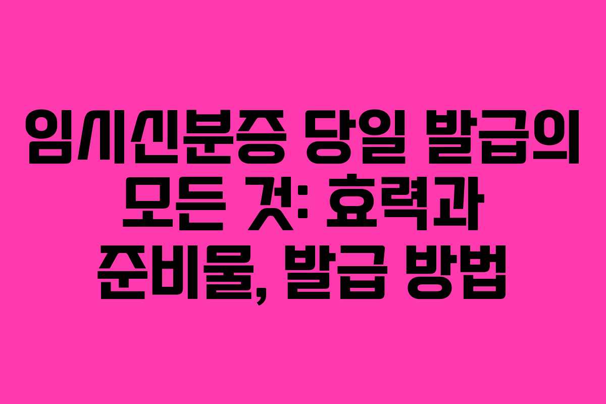 임시신분증 당일 발급의 모든 것: 효력과 준비물, 발급 방법