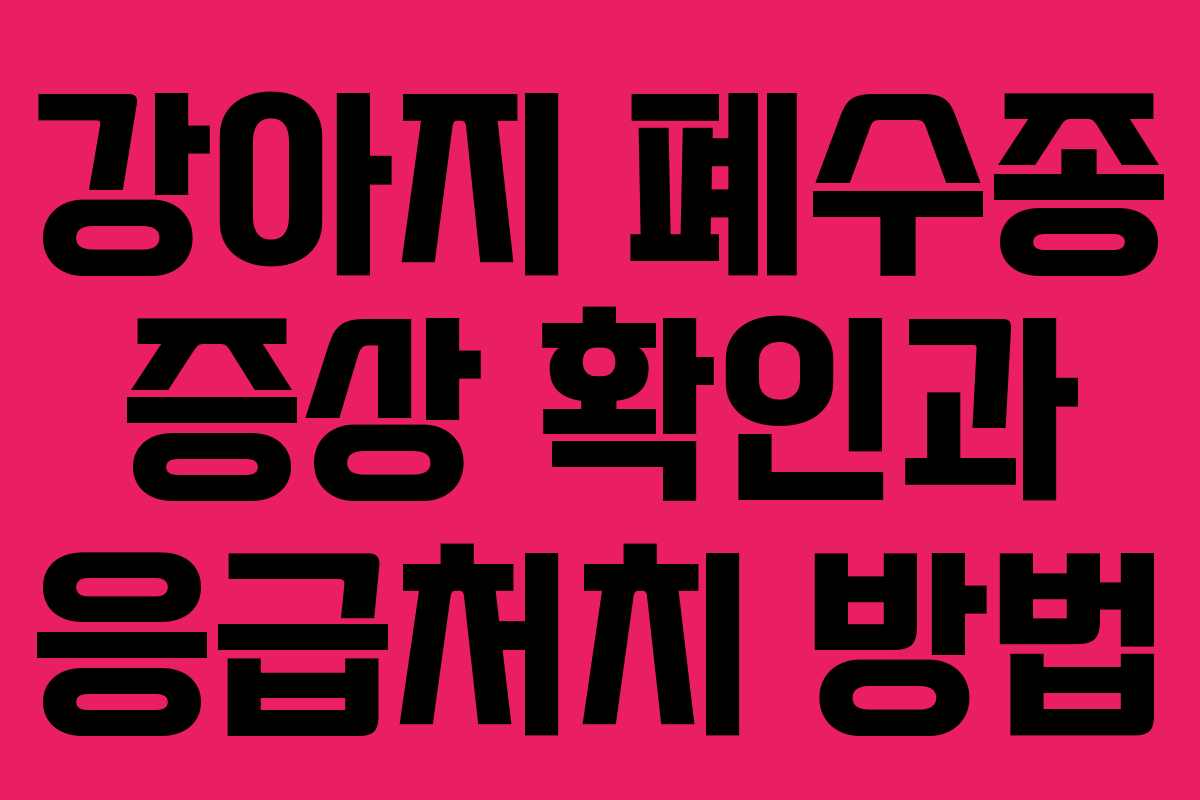 강아지 폐수종 증상 확인과 응급처치 방법