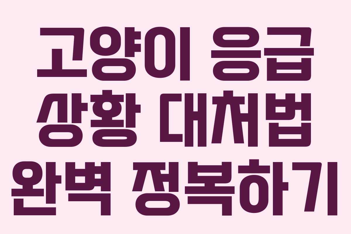 고양이 응급 상황 대처법 완벽 정복하기