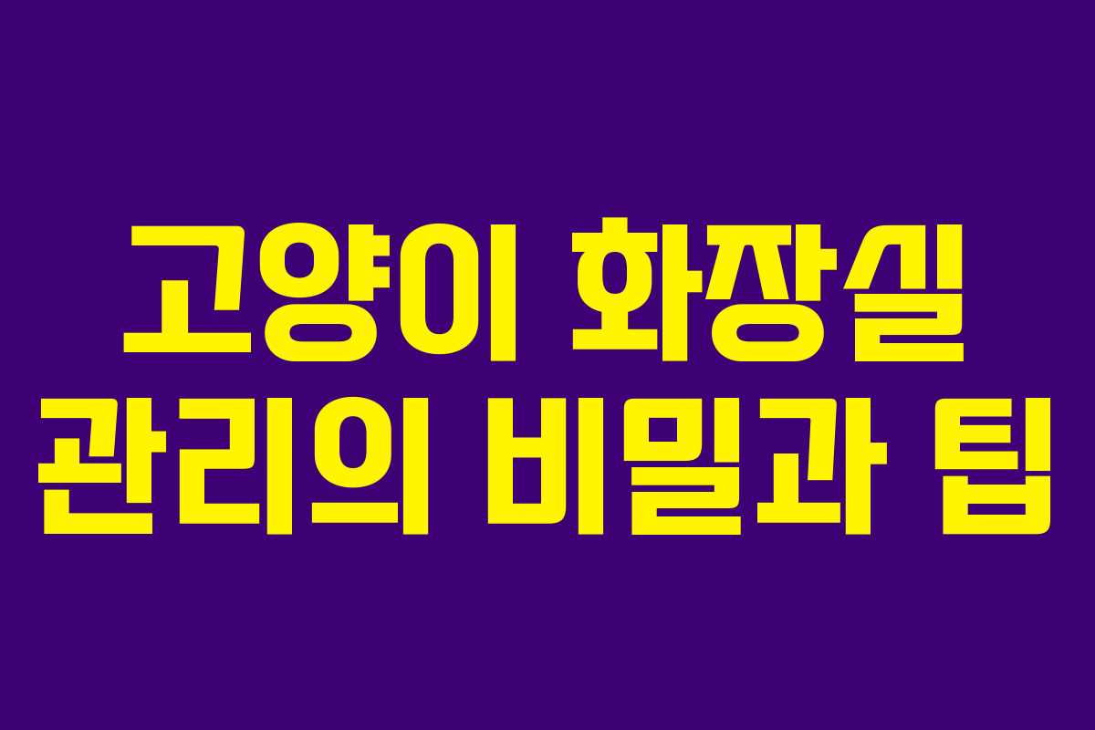 고양이 화장실 관리의 비밀과 팁