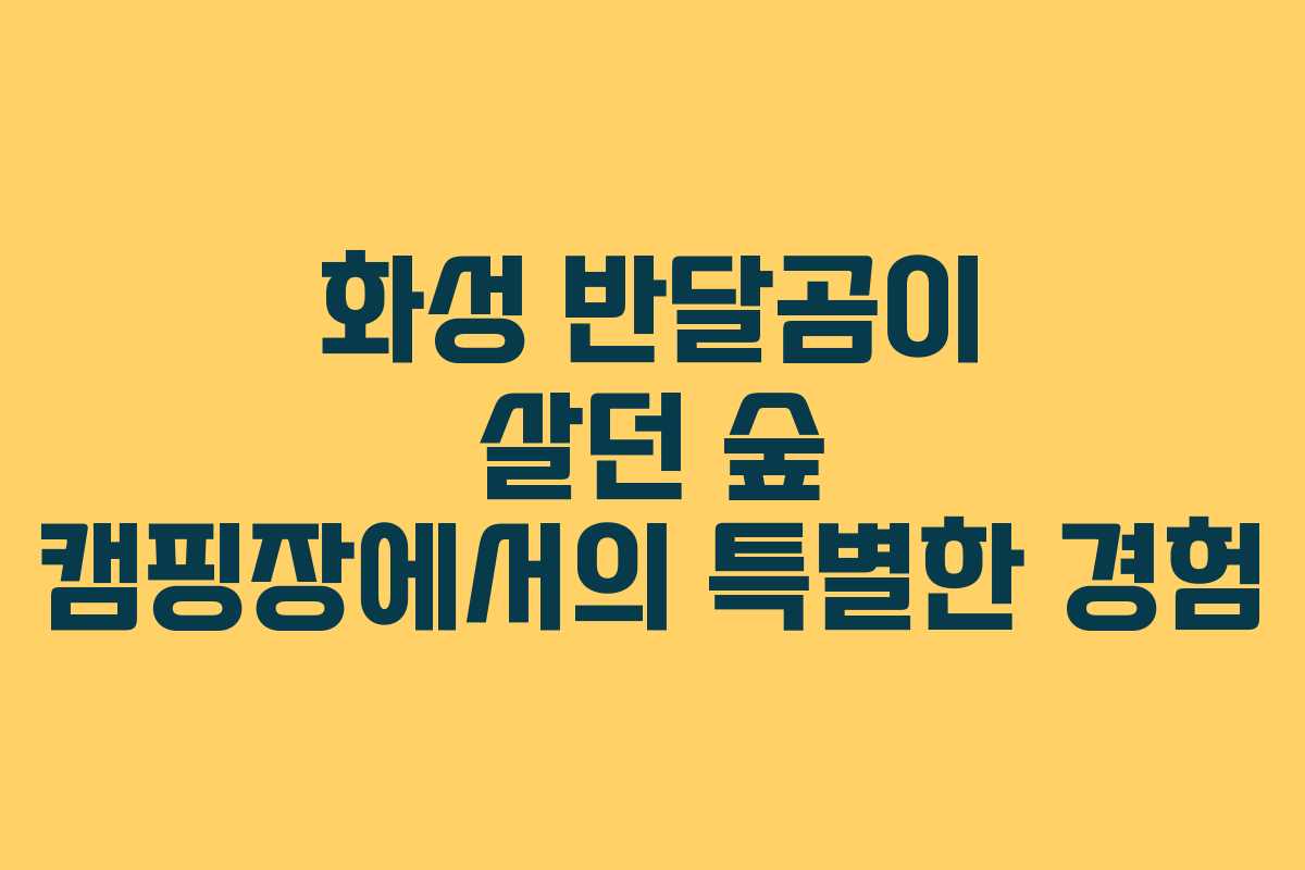 화성 반달곰이 살던 숲 캠핑장에서의 특별한 경험
