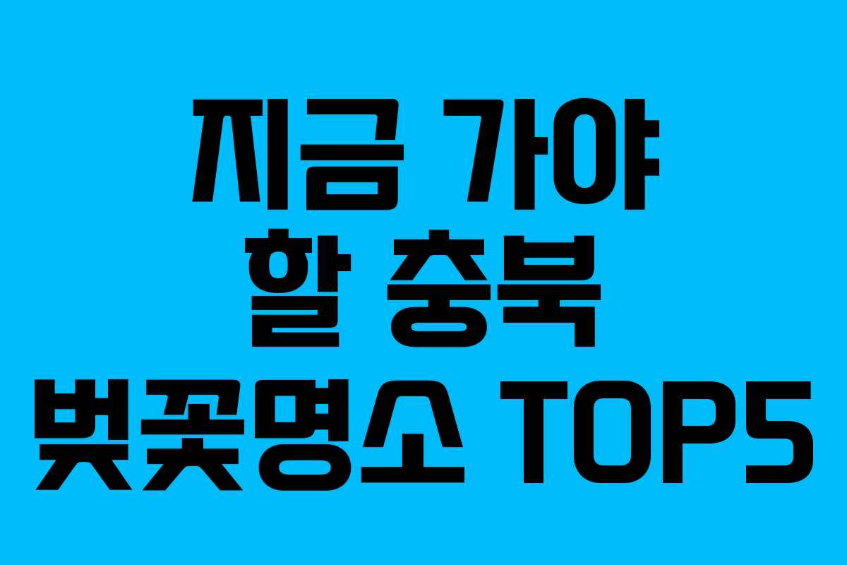 지금 가야 할 충북 벚꽃명소 TOP5
