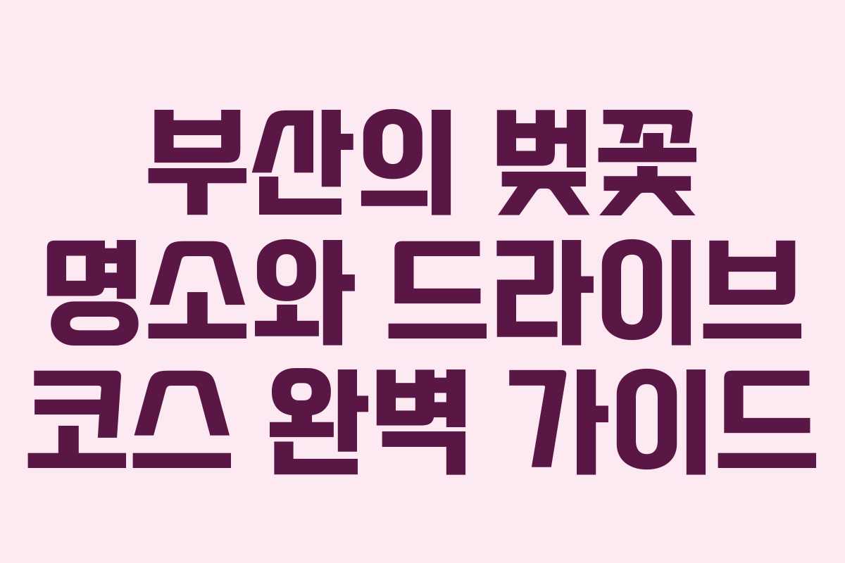 부산의 벚꽃 명소와 드라이브 코스 완벽 가이드