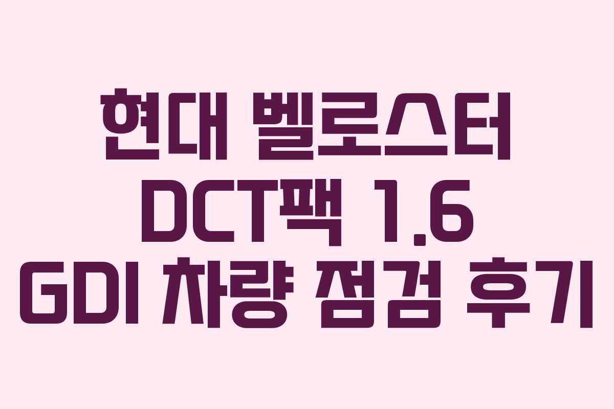 현대 벨로스터 DCT팩 1.6 GDI 차량 점검 후기