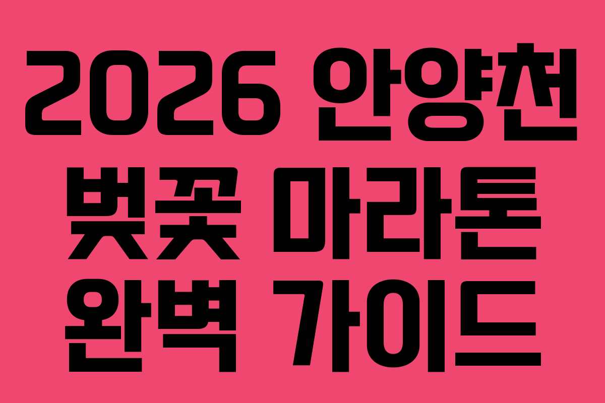 2026 안양천 벚꽃 마라톤 완벽 가이드