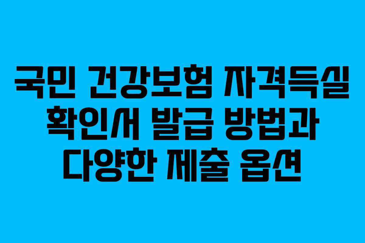 국민 건강보험 자격득실 확인서 발급 방법과 다양한 제출 옵션
