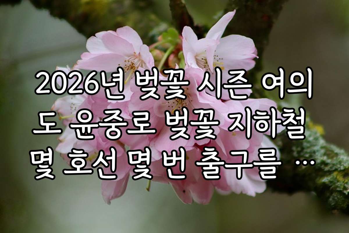 2026년 벚꽃 시즌 여의도 윤중로 벚꽃 지하철 몇 호선 몇 번 출구를 이용하는 꿀팁 2026년 벚꽃 시즌 여의도 윤중로 벚꽃 지하철 몇 호선 몇 번 출구를 이용하는 꿀팁