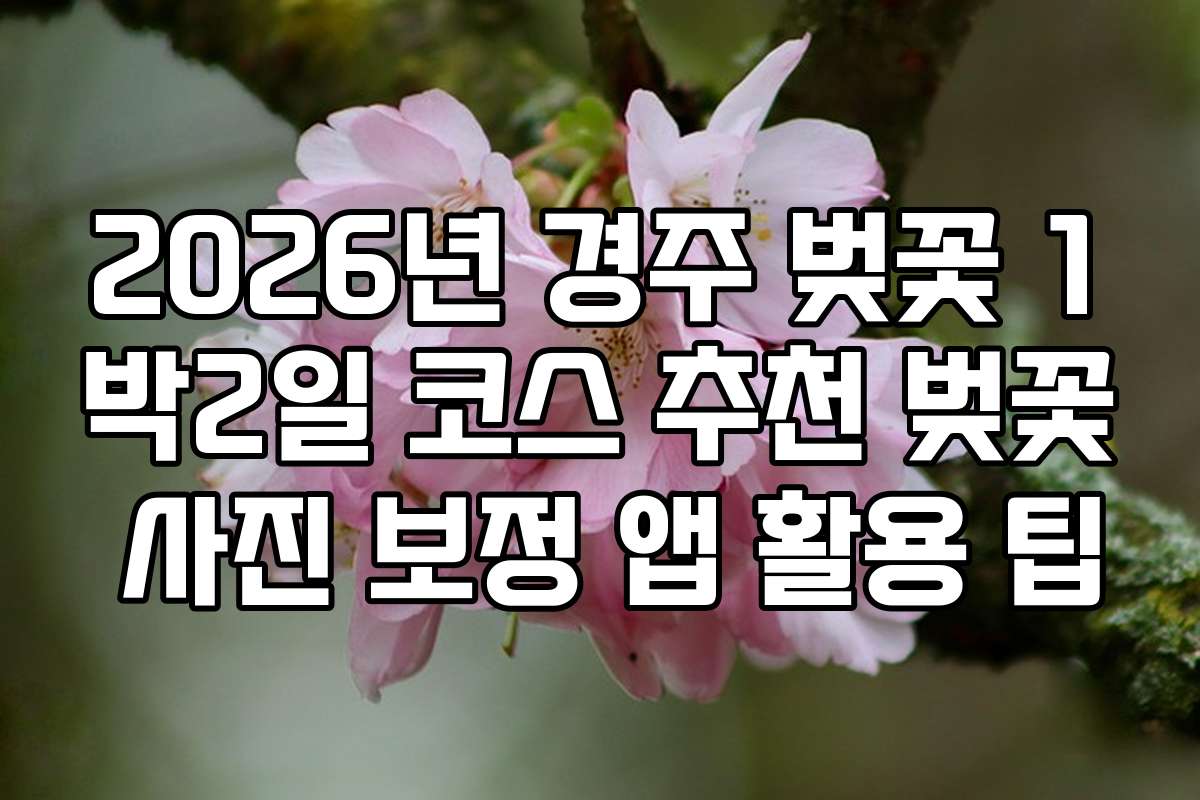2026년 경주 벚꽃 1박2일 코스 추천 벚꽃 사진 보정 앱 활용 팁