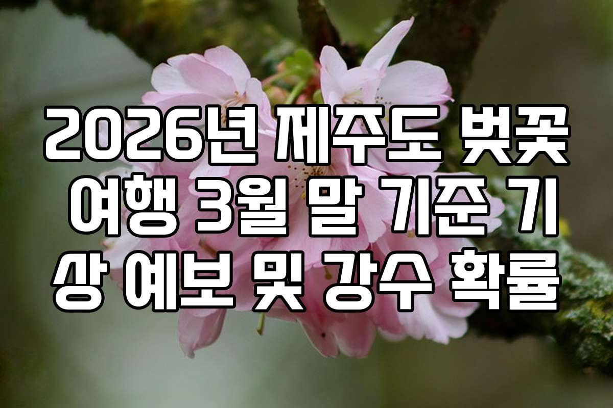 2026년 제주도 벚꽃 여행 3월 말 기준 기상 예보 및 강수 확률