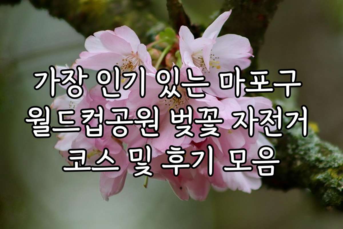 가장 인기 있는 마포구 월드컵공원 벚꽃 자전거 코스 및 후기 모음