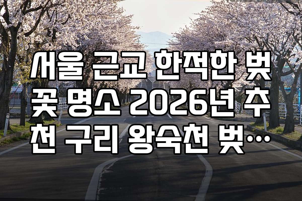 서울 근교 한적한 벚꽃 명소 2026년 추천 구리 왕숙천 벚꽃길