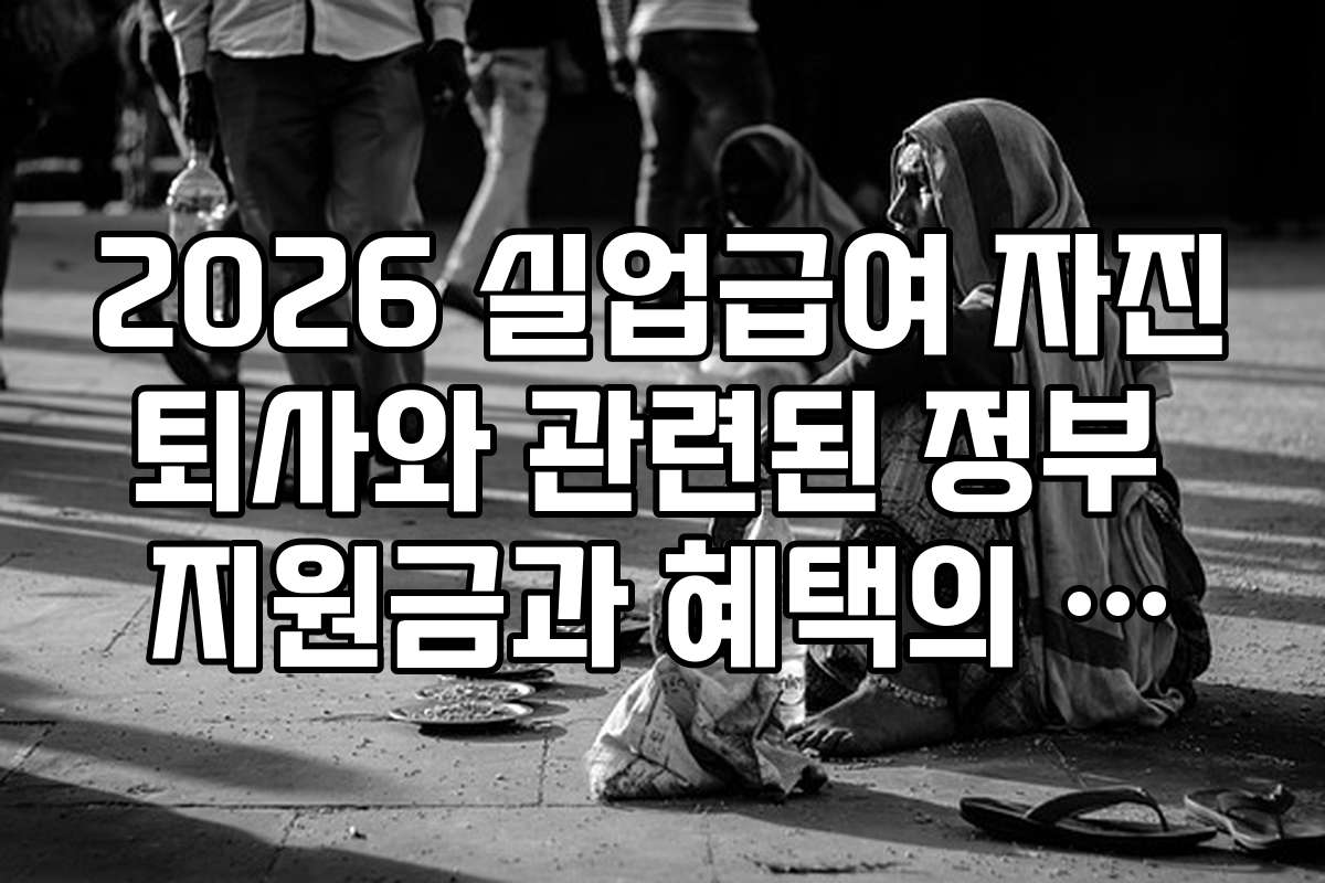 2026 실업급여 자진퇴사와 관련된 정부 지원금과 혜택의 실제 활용 사례