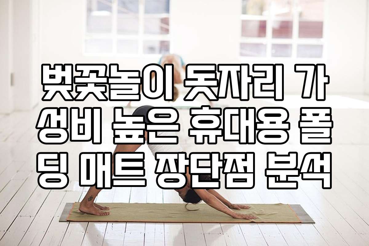 벚꽃놀이 돗자리 가성비 높은 휴대용 폴딩 매트 장단점 분석