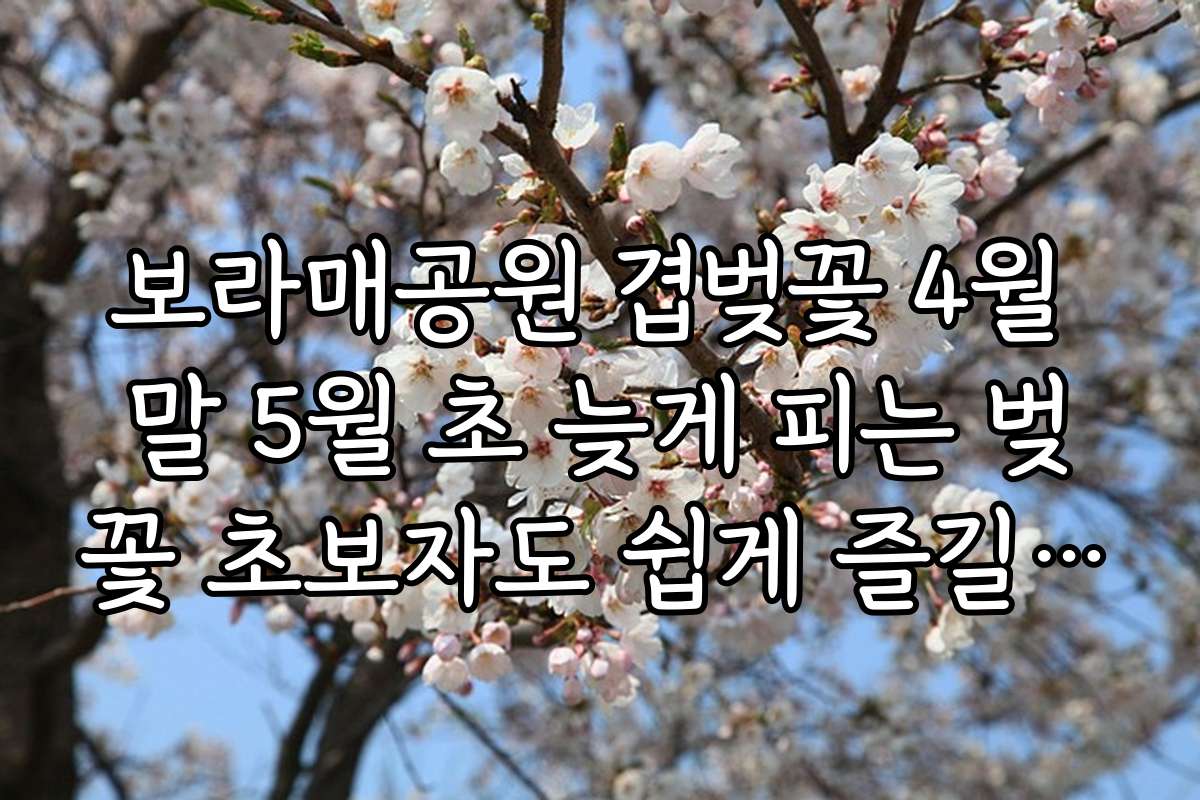 보라매공원 겹벚꽃 4월 말 5월 초 늦게 피는 벚꽃 초보자도 쉽게 즐길 수 있는 체험 가이드와 전문가 조언