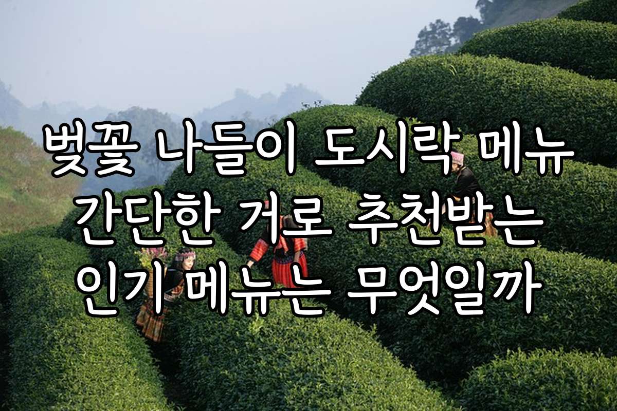 벚꽃 나들이 도시락 메뉴 간단한 거로 추천받는 인기 메뉴는 무엇일까