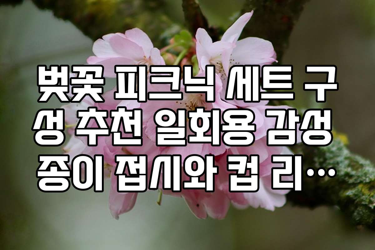 벚꽃 피크닉 세트 구성 추천 일회용 감성 종이 접시와 컵 리스트