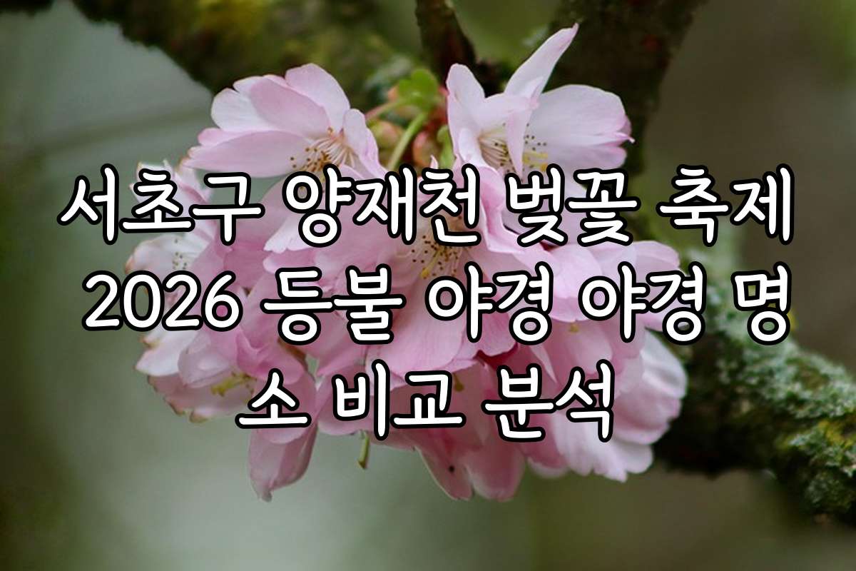 서초구 양재천 벚꽃 축제 2026 등불 야경 야경 명소 비교 분석