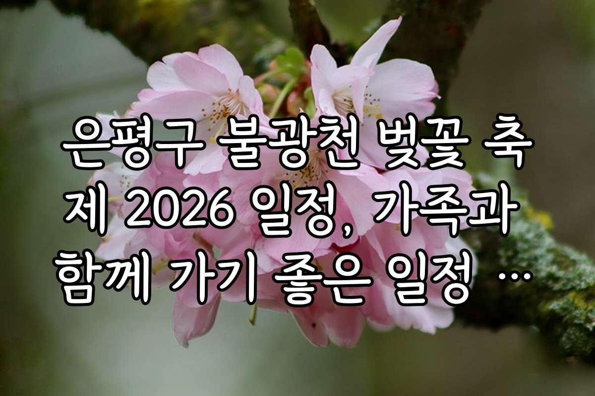 은평구 불광천 벚꽃 축제 2026 일정, 가족과 함께 가기 좋은 일정 추천
