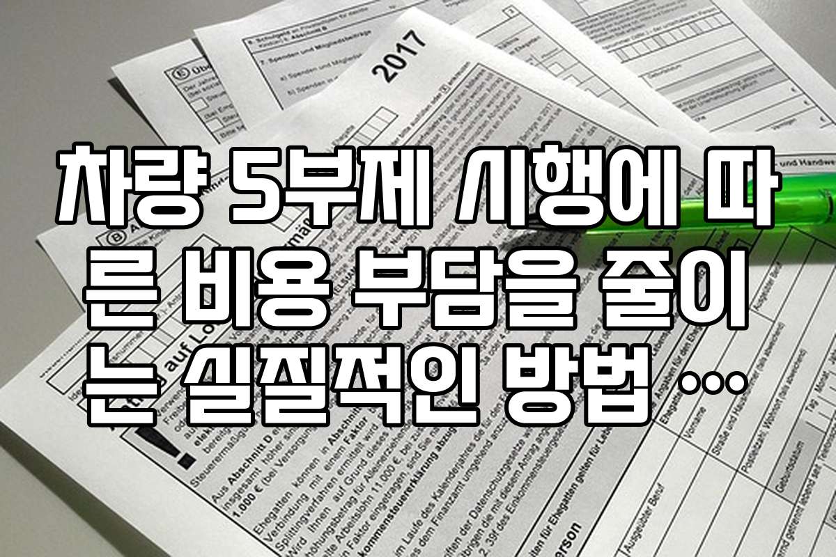 차량 5부제 시행에 따른 비용 부담을 줄이는 실질적인 방법 안내
