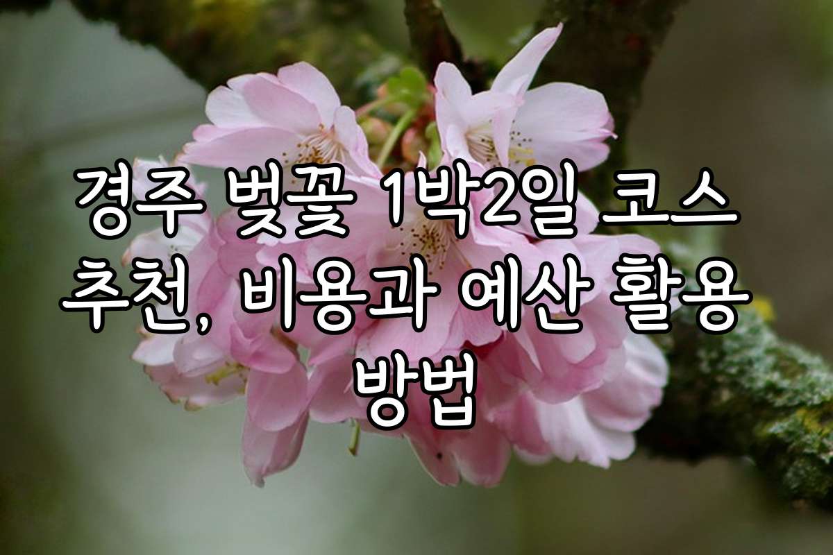경주 벚꽃 1박2일 코스 추천, 비용과 예산 활용 방법