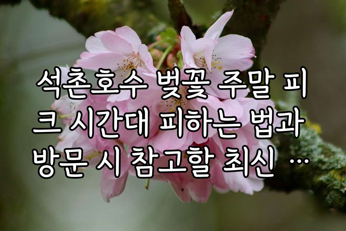 석촌호수 벚꽃 주말 피크 시간대 피하는 법과 방문 시 참고할 최신 정보