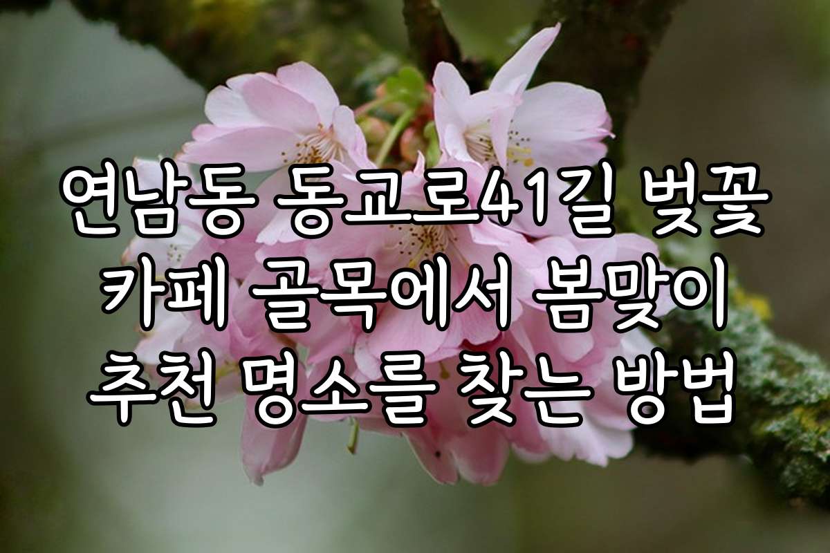 연남동 동교로41길 벚꽃 카페 골목에서 봄맞이 추천 명소를 찾는 방법