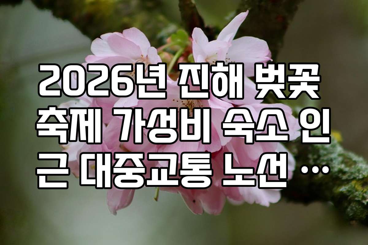 2026년 진해 벚꽃 축제 가성비 숙소 인근 대중교통 노선 안내