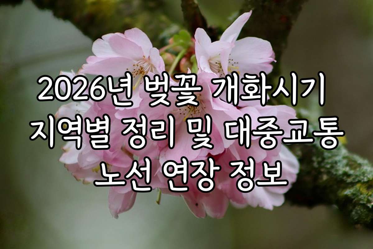 2026년 벚꽃 개화시기 지역별 정리 및 대중교통 노선 연장 정보