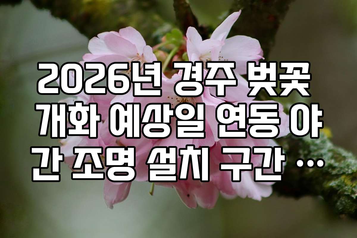 2026년 경주 벚꽃 개화 예상일 연동 야간 조명 설치 구간 안내