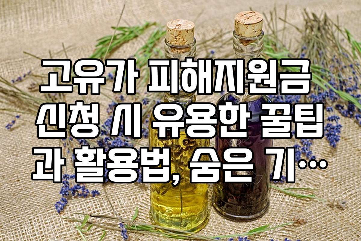 고유가 피해지원금 신청 시 유용한 꿀팁과 활용법, 숨은 기능을 알아보세요