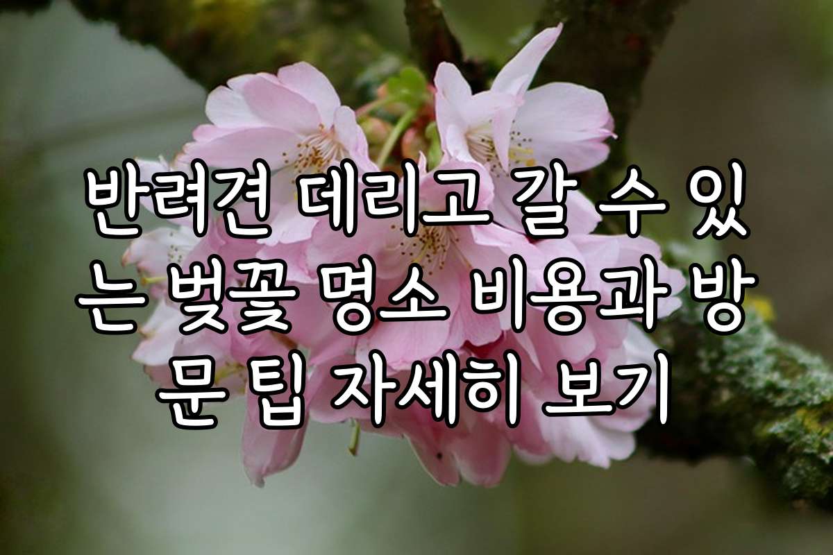 반려견 데리고 갈 수 있는 벚꽃 명소 비용과 방문 팁 자세히 보기