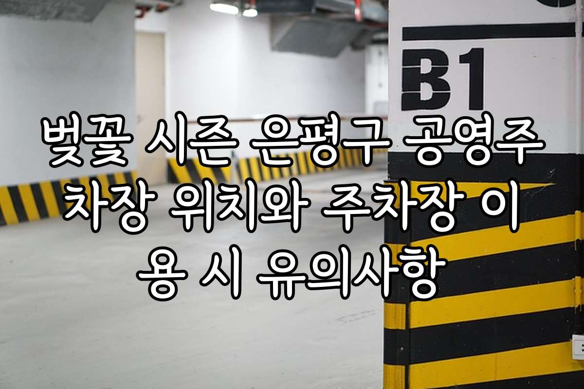 벚꽃 시즌 은평구 공영주차장 위치와 주차장 이용 시 유의사항