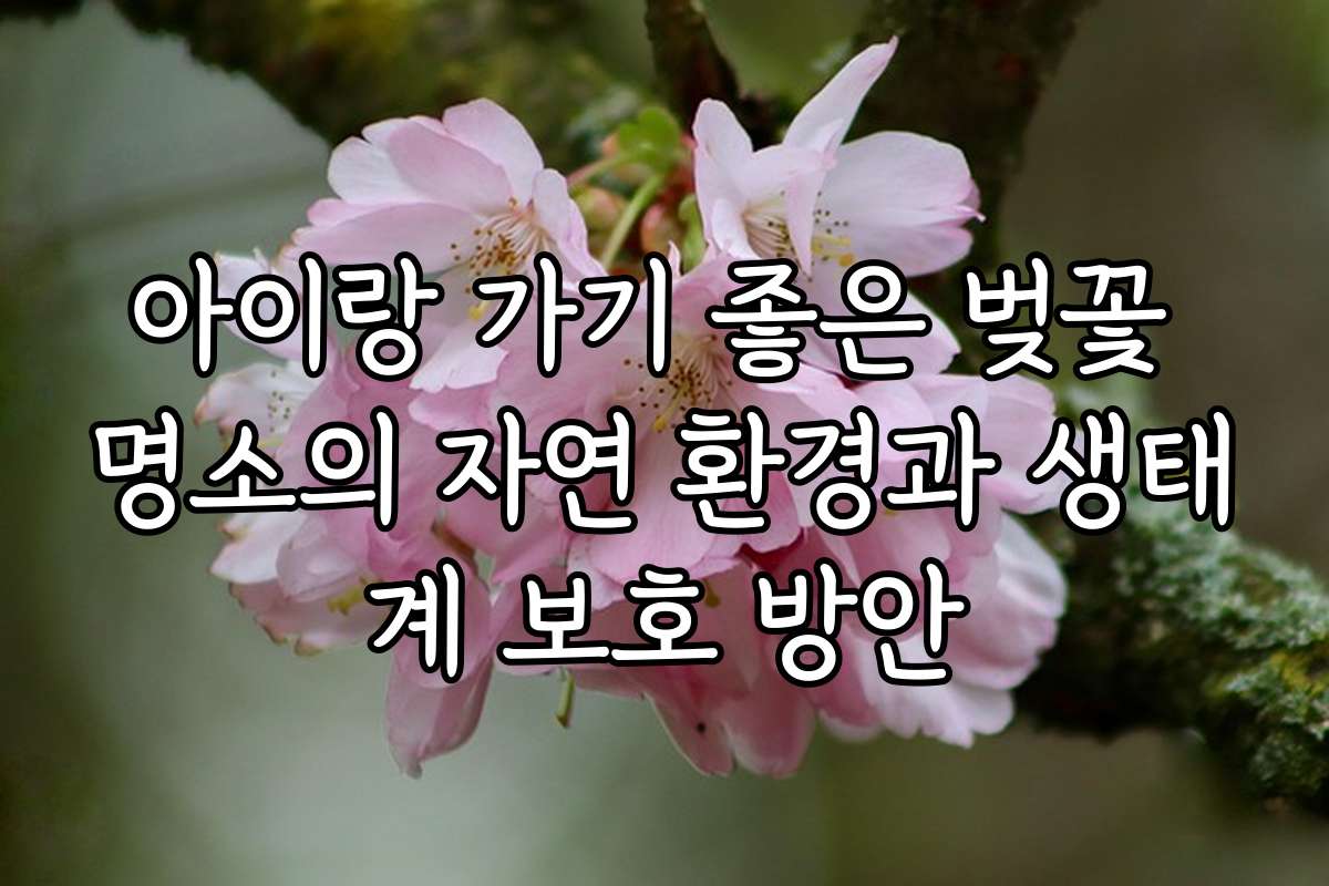 아이랑 가기 좋은 벚꽃 명소의 자연 환경과 생태계 보호 방안