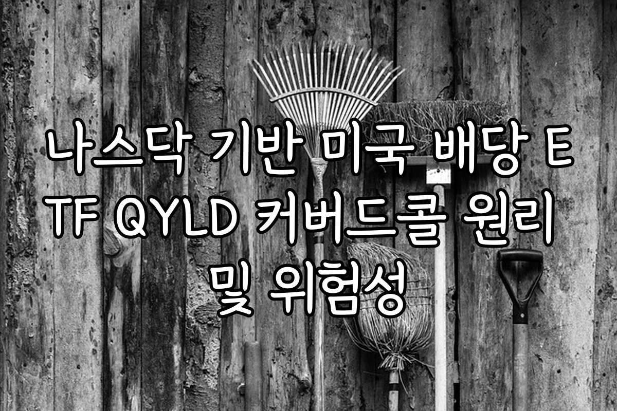 나스닥 기반 미국 배당 ETF QYLD 커버드콜 원리 및 위험성