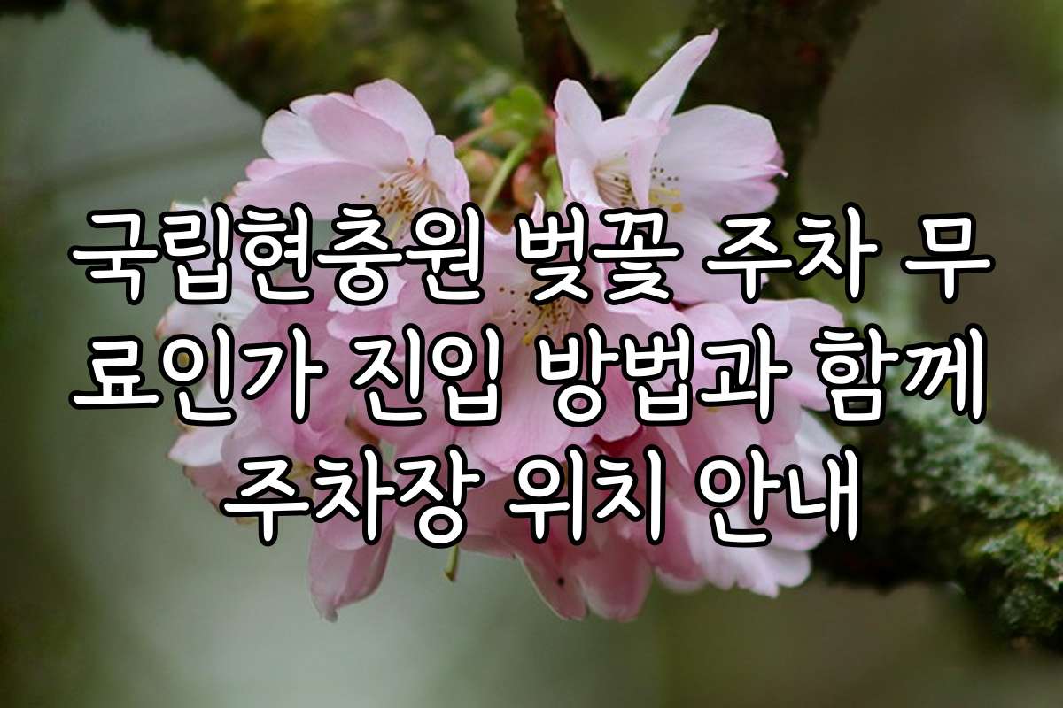 국립현충원 벚꽃 주차 무료인가 진입 방법과 함께 주차장 위치 안내