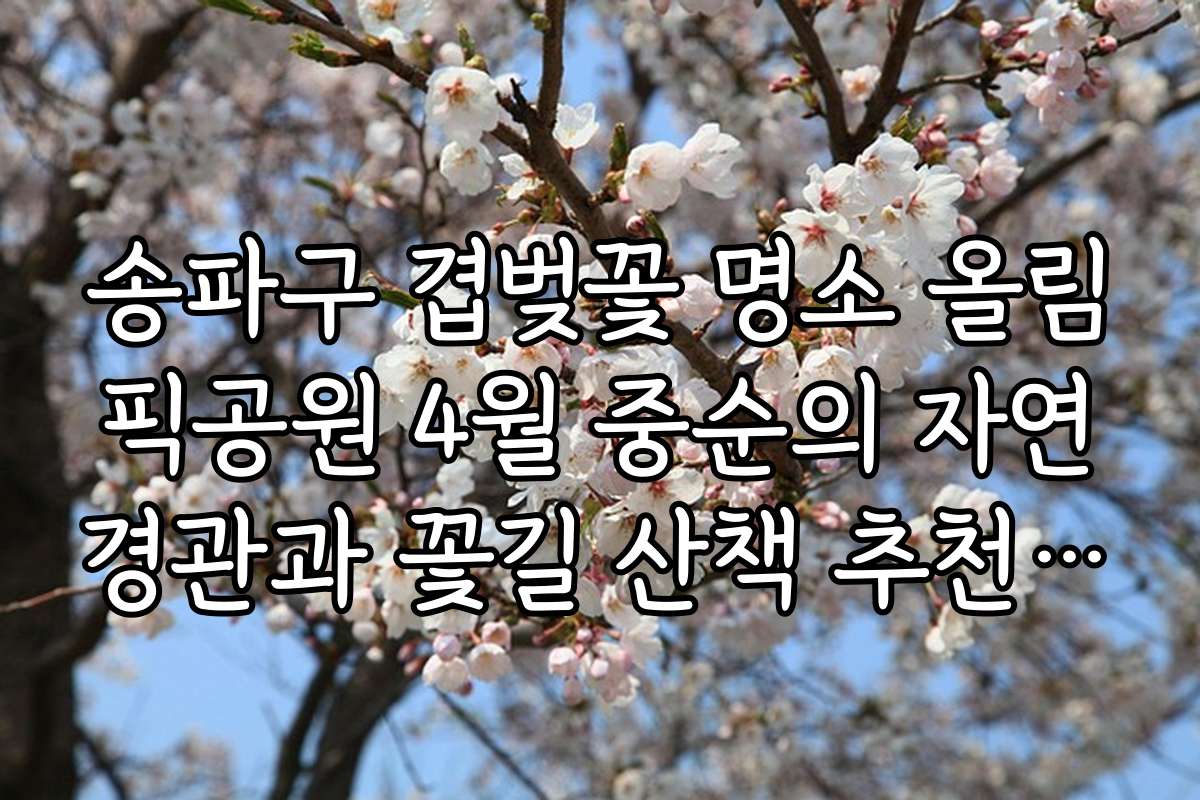 송파구 겹벚꽃 명소 올림픽공원 4월 중순의 자연경관과 꽃길 산책 추천 포인트