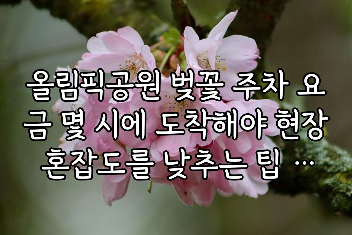 올림픽공원 벚꽃 주차 요금 몇 시에 도착해야 현장 혼잡도를 낮추는 팁 제공