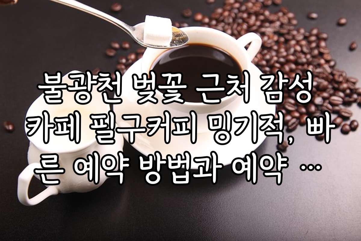 불광천 벚꽃 근처 감성 카페 필구커피 밍기적, 빠른 예약 방법과 예약 필수 여부