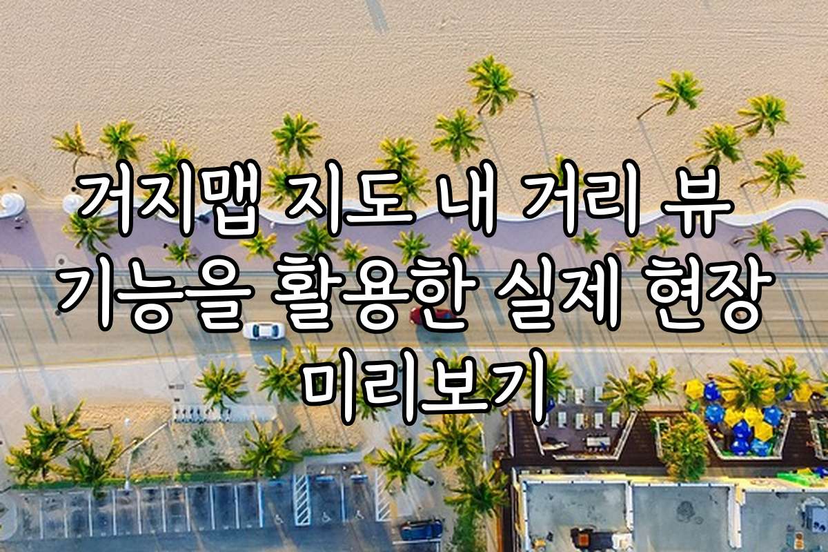 거지맵 지도 내 거리 뷰 기능을 활용한 실제 현장 미리보기