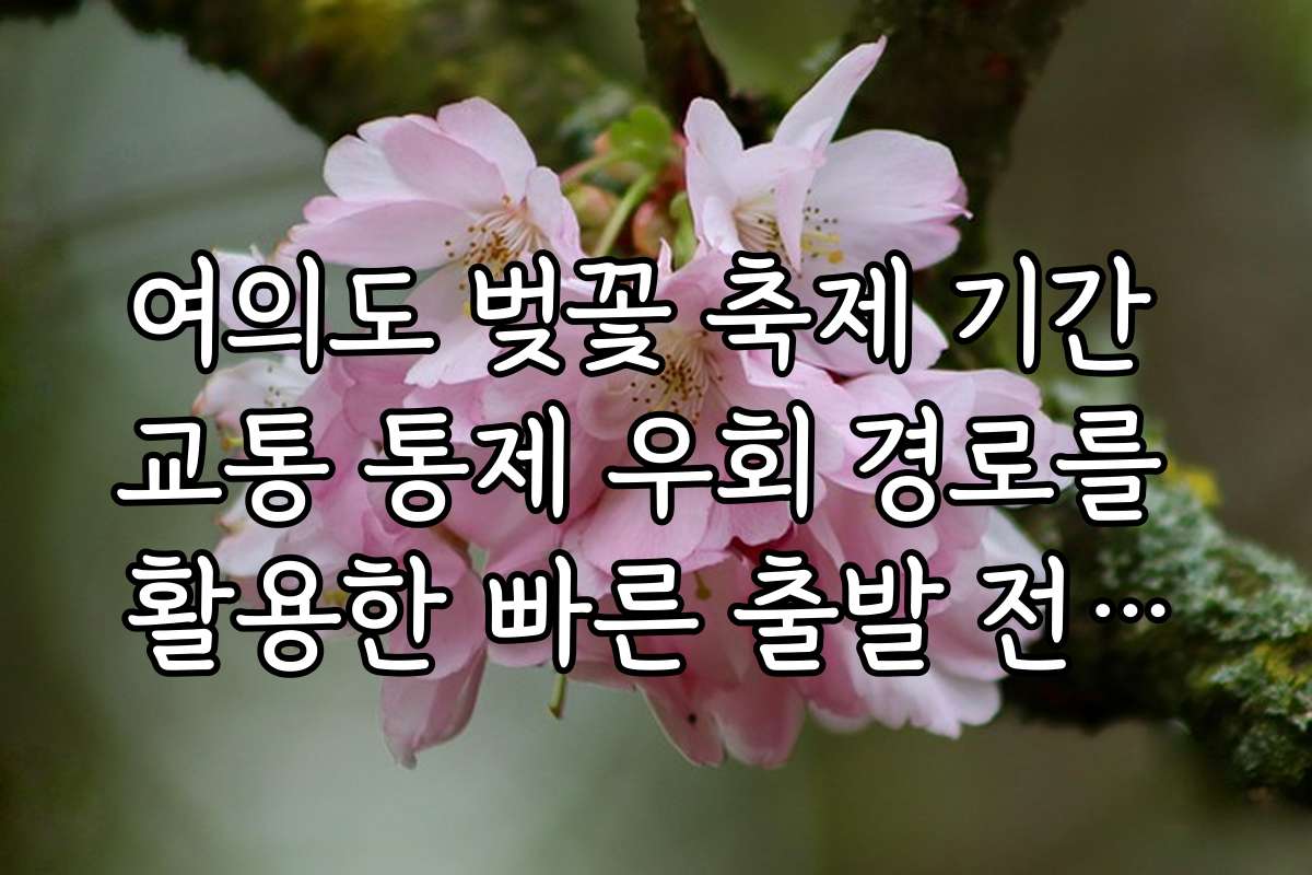 여의도 벚꽃 축제 기간 교통 통제 우회 경로를 활용한 빠른 출발 전략과 팁