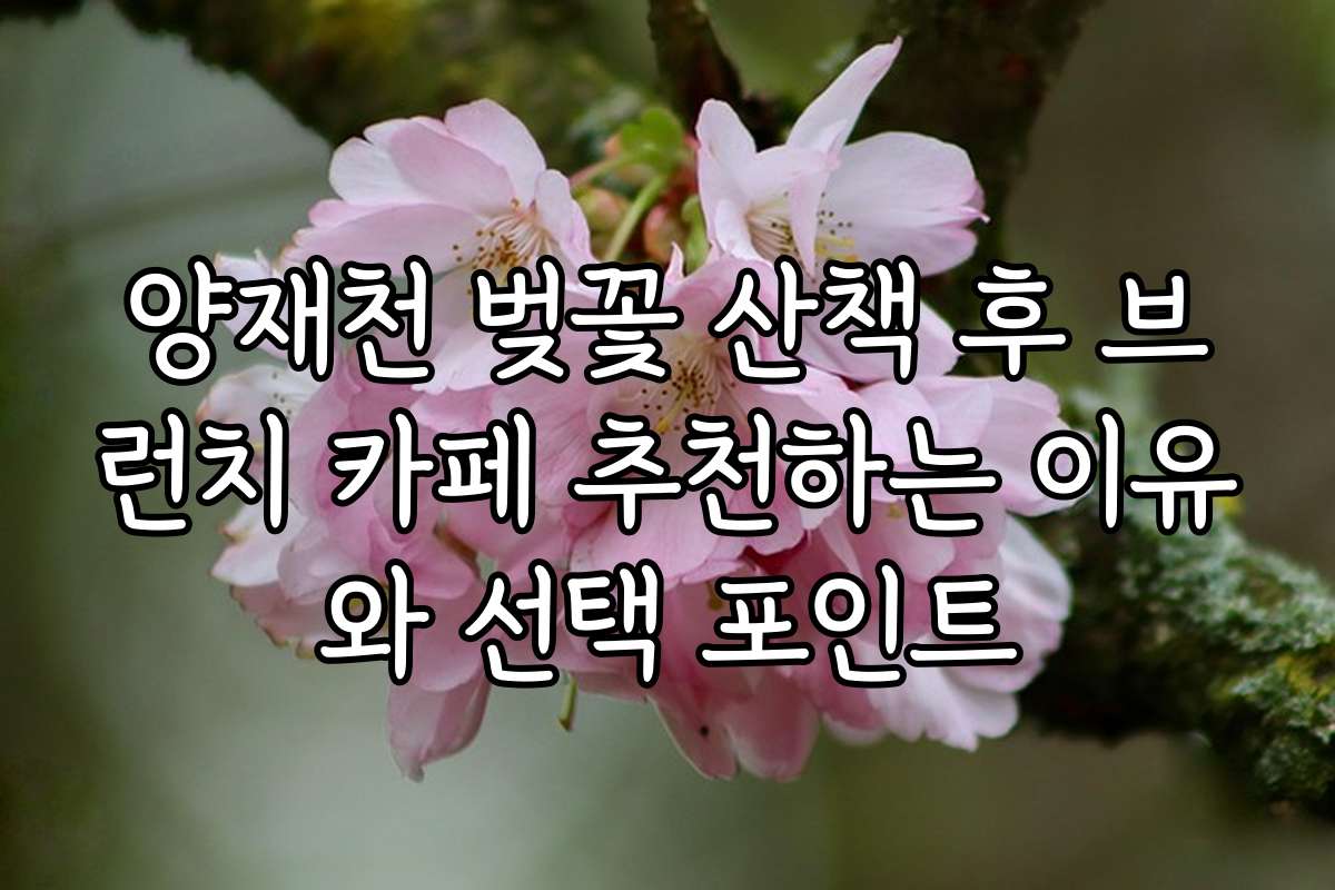 양재천 벚꽃 산책 후 브런치 카페 추천하는 이유와 선택 포인트