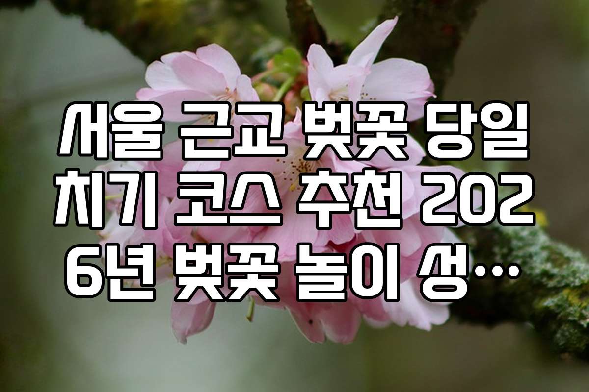 서울 근교 벚꽃 당일치기 코스 추천 2026년 벚꽃 놀이 성공을 위한 시간표