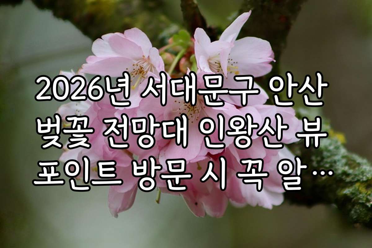2026년 서대문구 안산 벚꽃 전망대 인왕산 뷰 포인트 방문 시 꼭 알아야 할 안전수칙과 주의사항