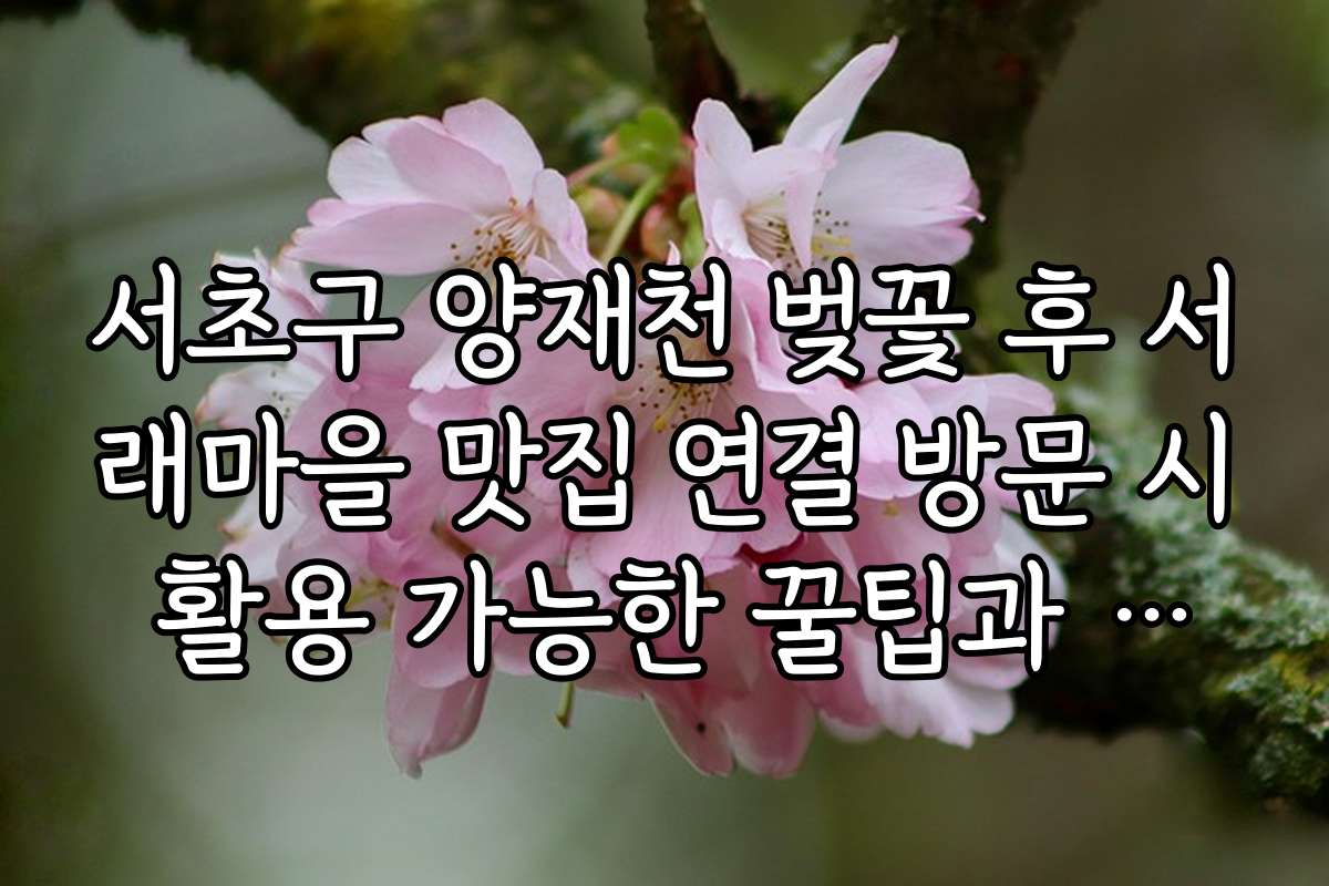 서초구 양재천 벚꽃 후 서래마을 맛집 연결 방문 시 활용 가능한 꿀팁과 활용법 서초구 양재천 벚꽃 후 서래마을 맛집 연결 방문 시 활용 가능한 꿀팁과 활용법
