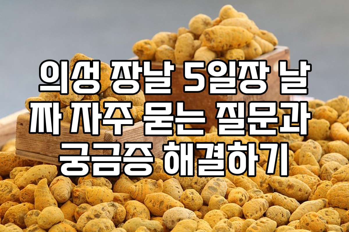 의성 장날 5일장 날짜 자주 묻는 질문과 궁금증 해결하기