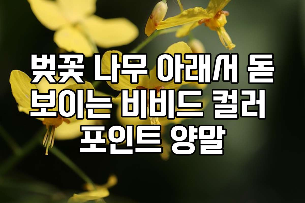 벚꽃 나무 아래서 돋보이는 비비드 컬러 포인트 양말