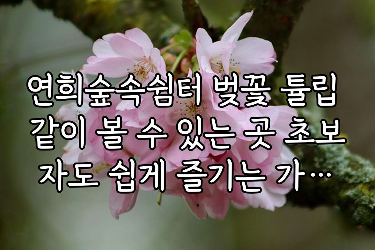 연희숲속쉼터 벚꽃 튤립 같이 볼 수 있는 곳 초보자도 쉽게 즐기는 가이드와 팁