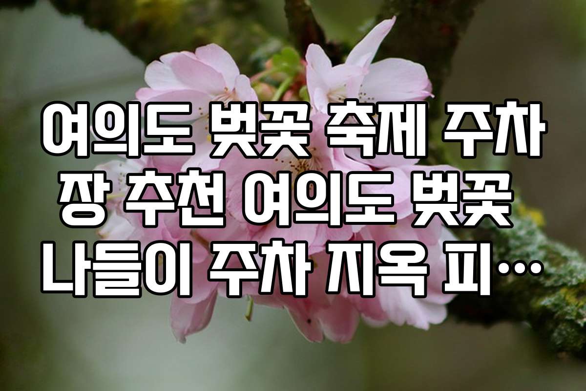 여의도 벚꽃 축제 주차장 추천 여의도 벚꽃 나들이 주차 지옥 피하기